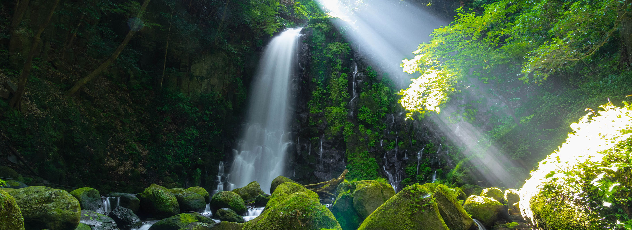 白糸の滝