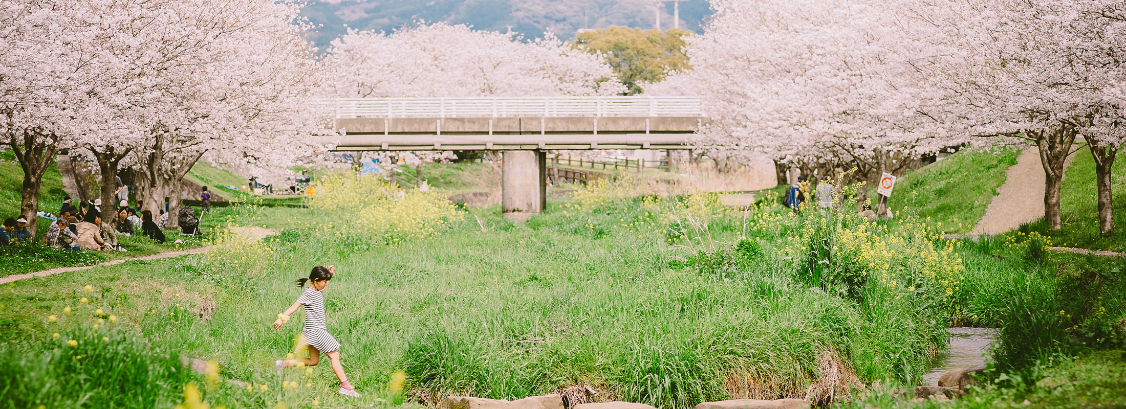 秋津川河川公園