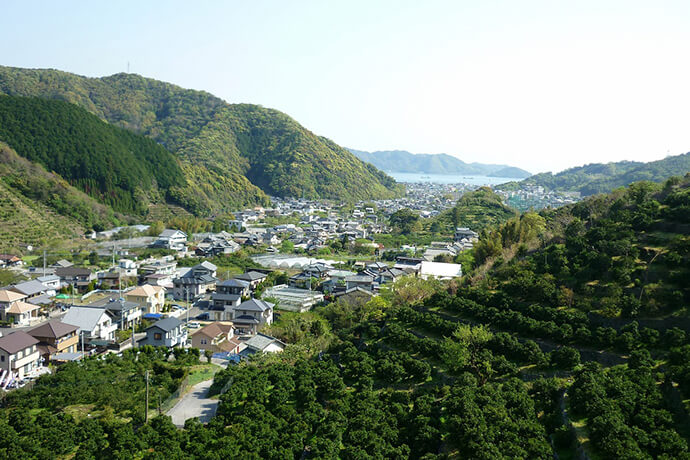 大分県津久見市 | 自治体詳細 | 三越伊勢丹ふるさと納税