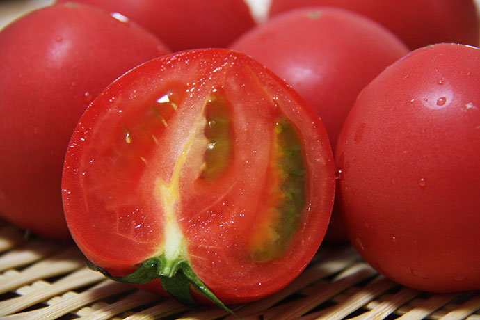 自然豊かな地で獲れた新鮮トマト