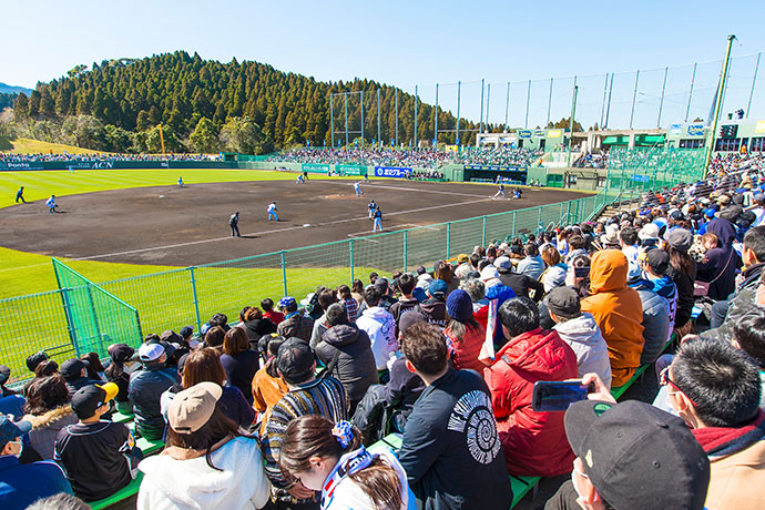 プロ野球キャンプ