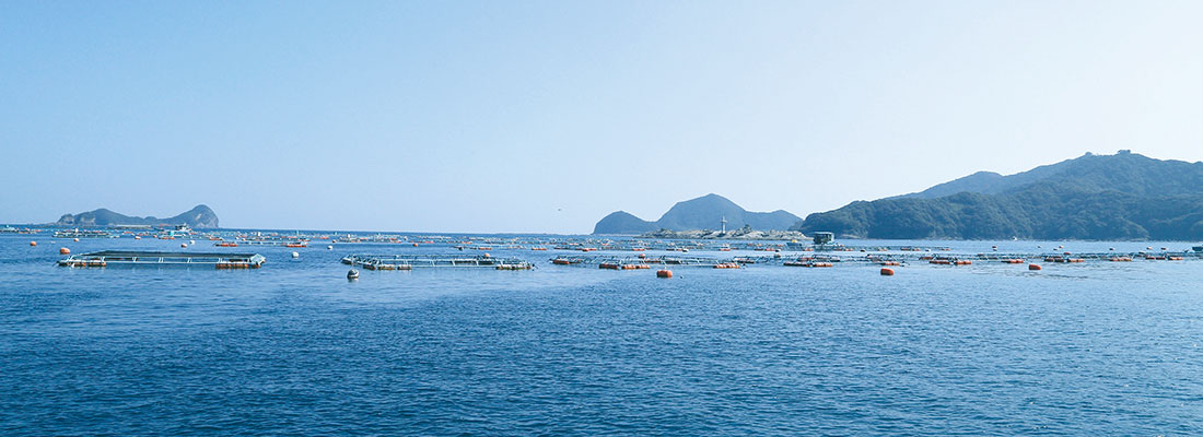 延岡市 風景(海)