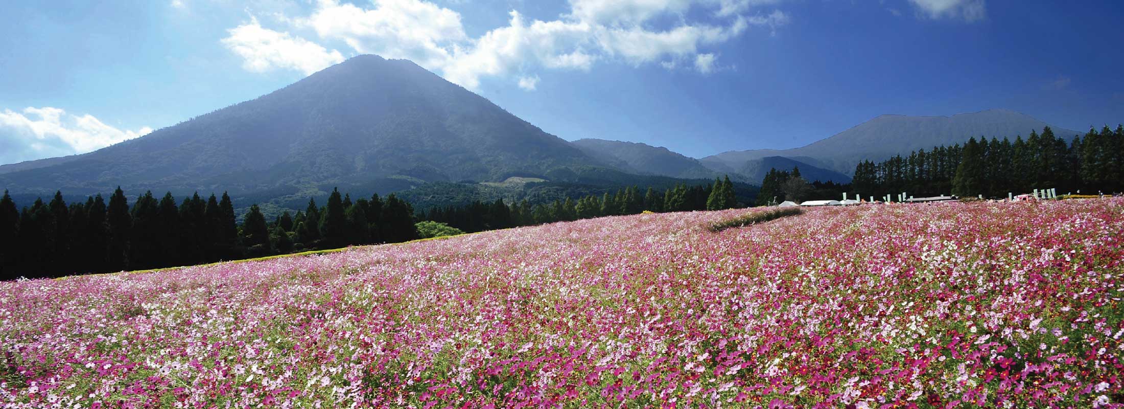生駒高原
