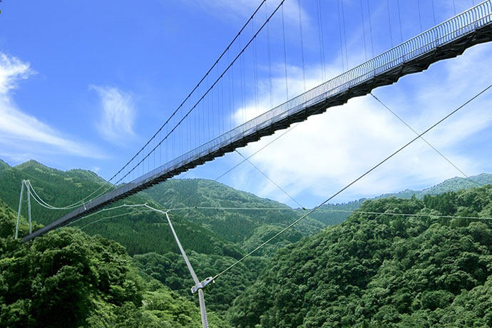 照葉樹林帯に架かる高さ142mの「綾の照葉大吊橋」