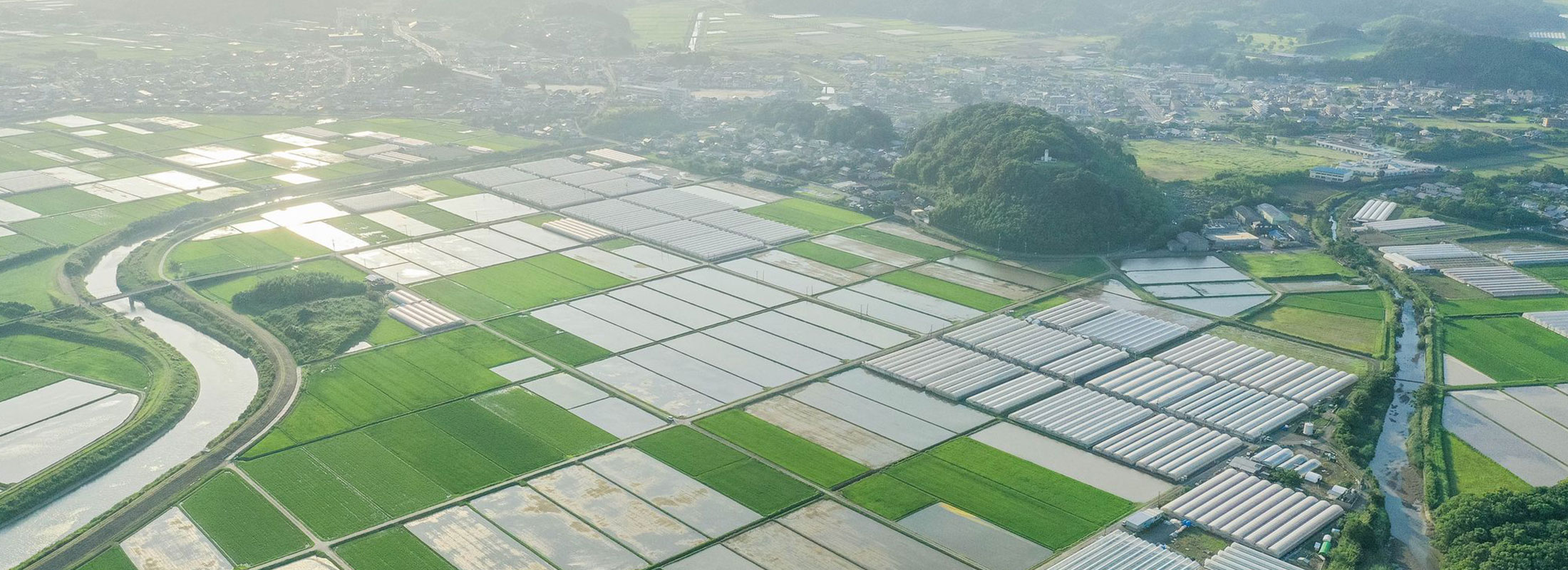 新富町