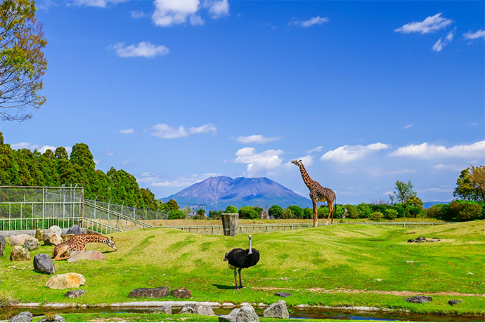 平川動物公園のアフリカの草原ゾーン