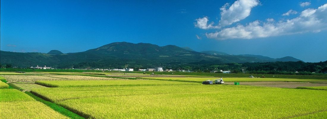 田園・栗野岳