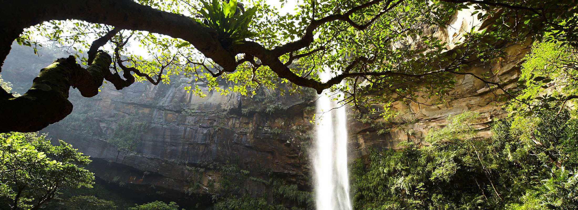 ピナイサーラの滝(西表島)