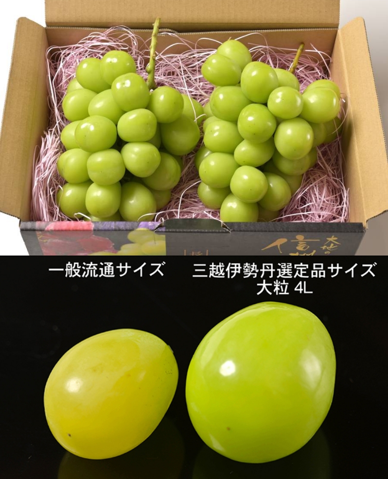 シャインマスカット 大粒4Lサイズ2房(1.3kg)(三越伊勢丹選定)のイメージ