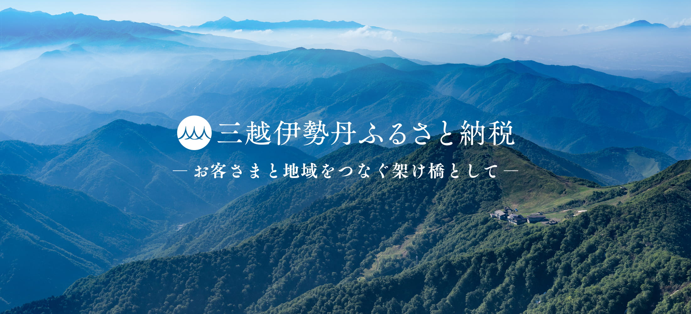 ダミー