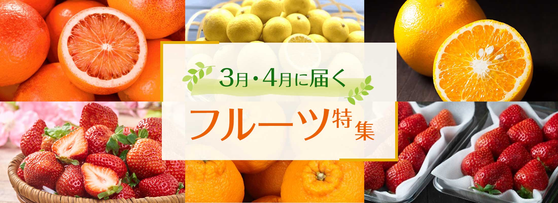 3月・4月に届くフルーツ特集