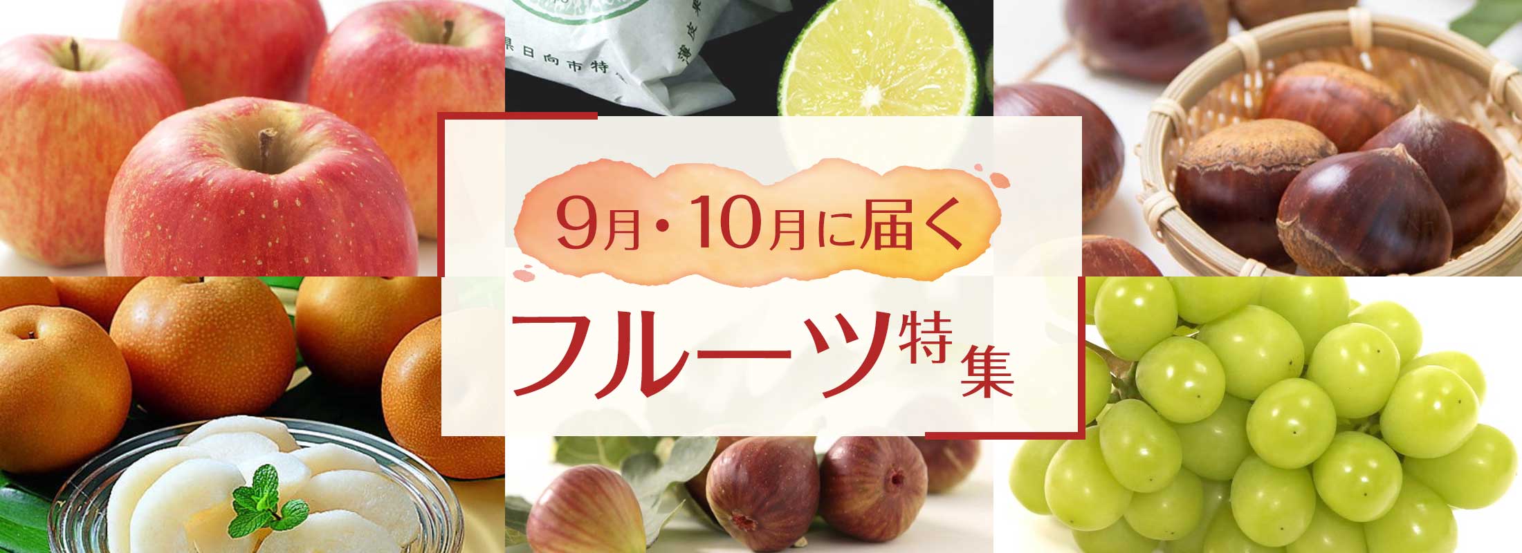 9月10月に届くフルーツ特集