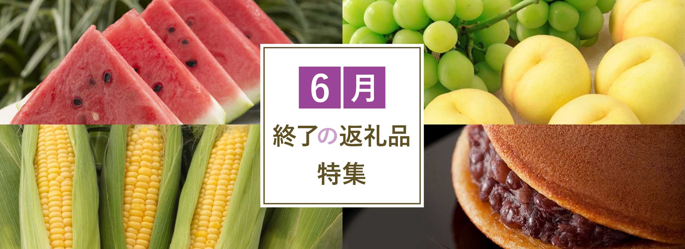 6月終了の返礼品特集