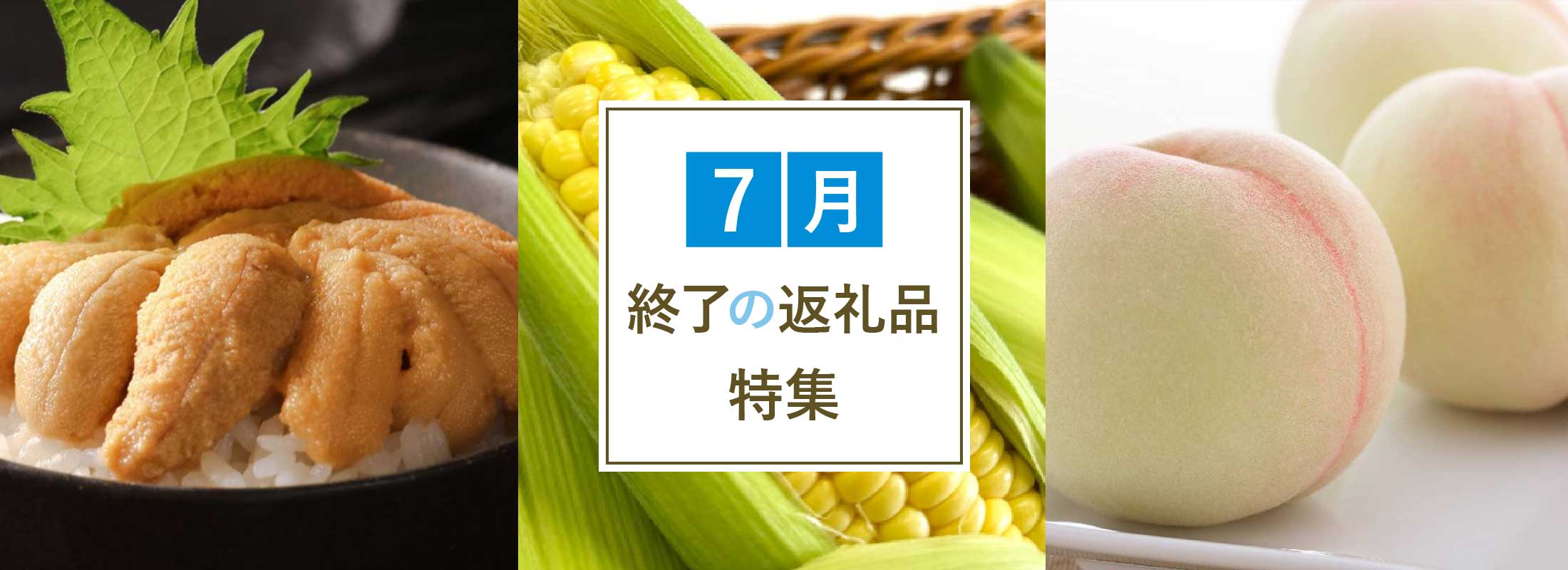 7月終了の返礼品特集