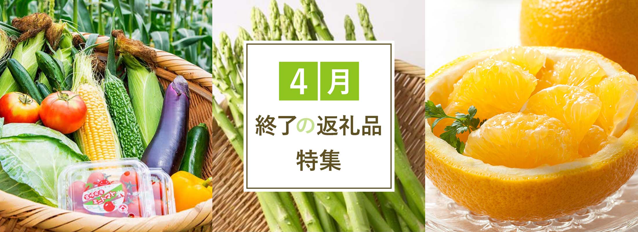 4月終了の返礼品特集
